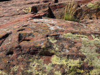 Full frame shot of rocks on land