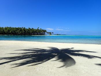 Scenic view of beach against clear blue sky