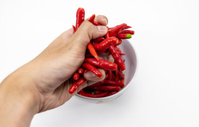 Close-up of hand holding red chili pepper against white background