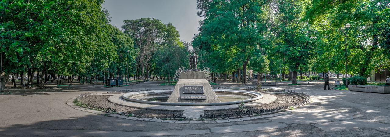 TREES IN PARK