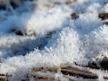 Close-up of frozen water