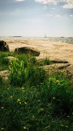 Scenic view of sea against sky