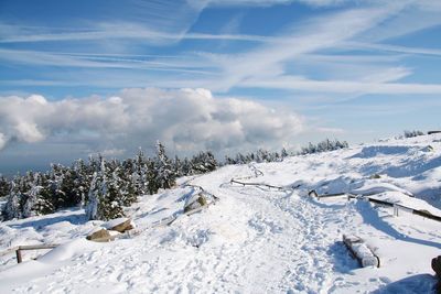 Snow covered landscape