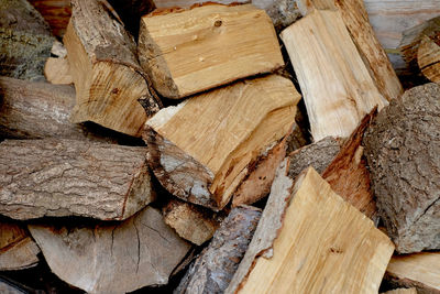 Full frame shot of wooden logs in forest