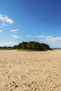 Scenic view of beach against blue sky