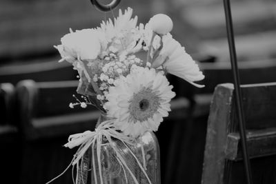 Close-up of flowers against blurred background