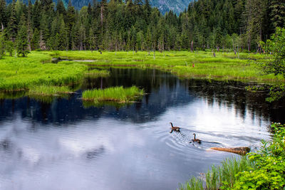 Scenic view of lake