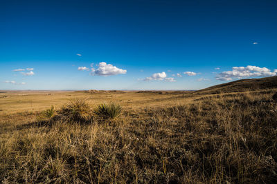 Scenic view of field against blue sky