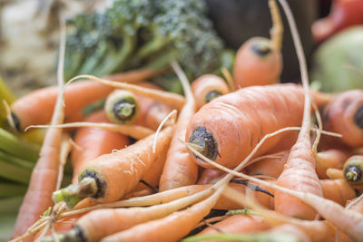 Close-up of carrots