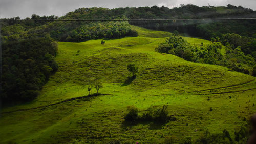 Scenic view of green landscape against sky