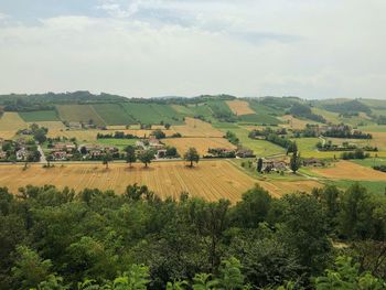 Scenic view of agricultural field against sky