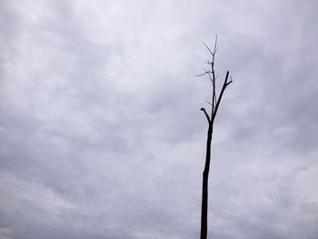 Low angle view of sky