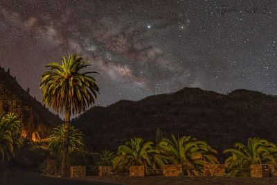 Scenic view of palm trees against sky at night