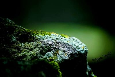 rock