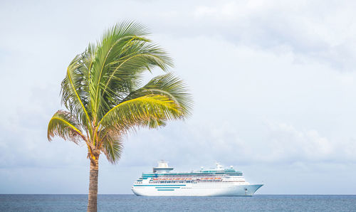 Palm tree by sea against sky