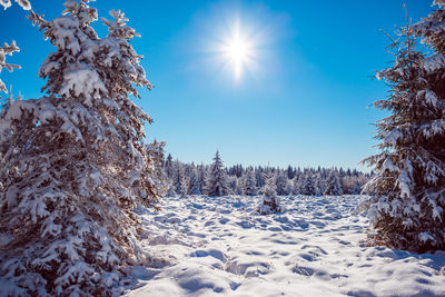 Snow covered land against bright sun