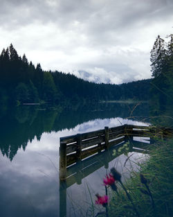 Scenic view of lake by trees against sky