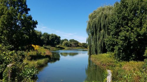 Scenic view of lake against clear sky