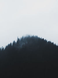 Low angle view of silhouette trees against sky