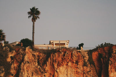 Low angle view of palm trees on rock against sky