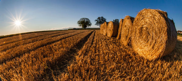 View of fields against clear blue sky