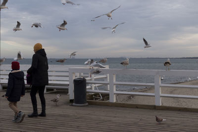 Birds flying over sea against sky