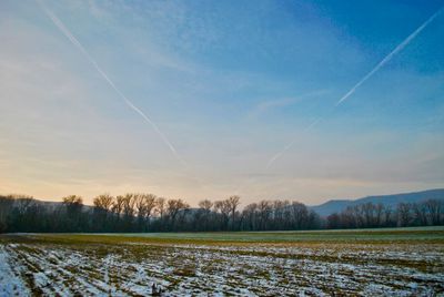 Scenic view of field against sky during winter