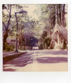 Empty road along trees