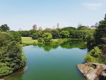 Scenic view of trees against sky