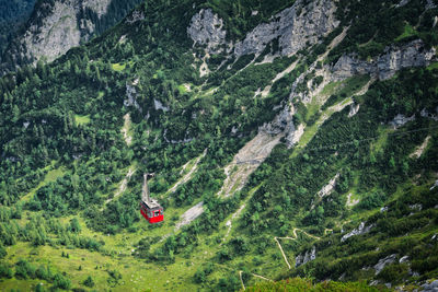 High angle view of trees growing on land