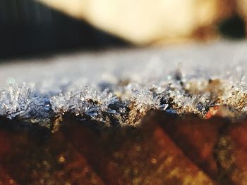 Close-up of frozen during winter