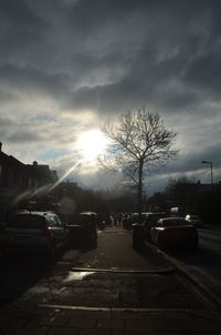 Road passing through bare trees against cloudy sky