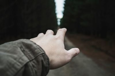 Hiker's hand pointing at forest