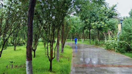 Man in park