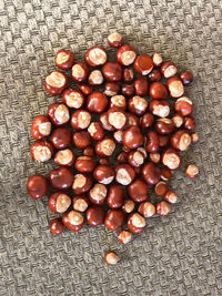 High angle view of fruits on floor