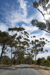 Road by trees against sky in city