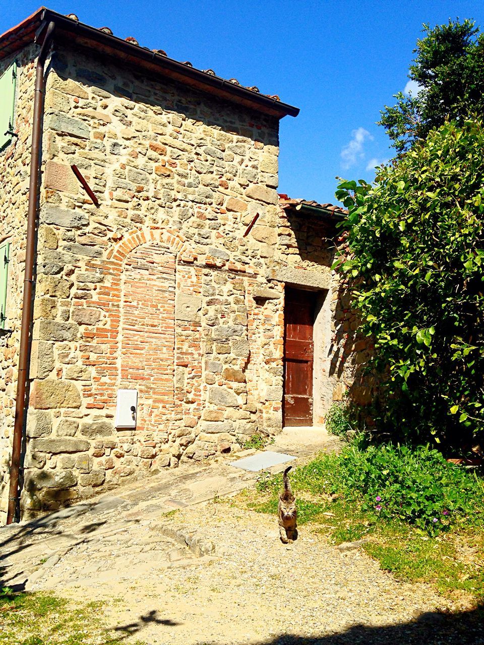 built structure, architecture, building exterior, sunlight, no people, house, outdoors, tree, shadow, day, sky, nature