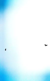 Low angle view of silhouette bird flying against clear sky