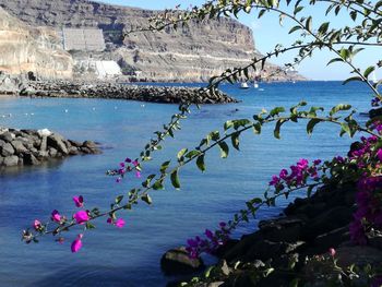 Scenic view of sea by rocks against sky