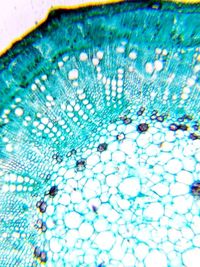 Full frame shot of water drops on swimming pool