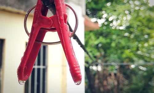 Close-up of red bell hanging on tree