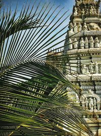 Low angle view of palm trees against sky