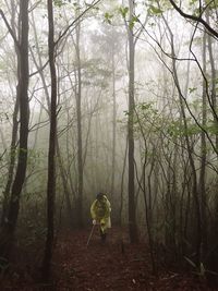 Boy in forest