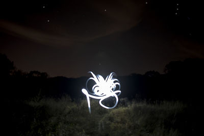 Close-up of illuminated field against sky at night