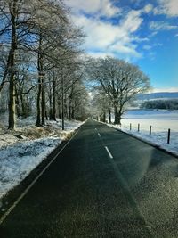 Road amidst bare trees against sky