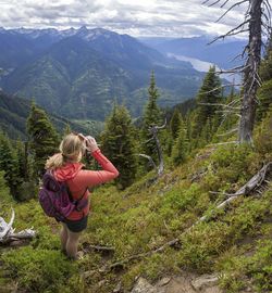 Rear view of woman standing in forest