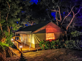 Illuminated tent in forest at night