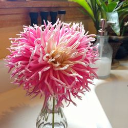 Close-up of pink flower vase on table