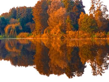 Reflection of trees in calm lake during autumn