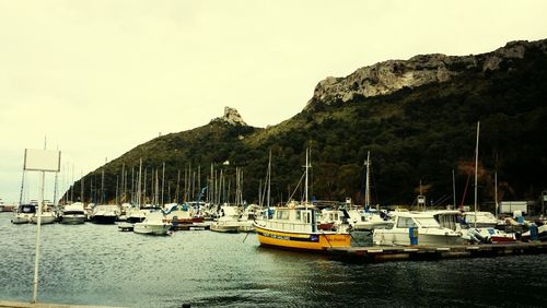 Boats in harbor